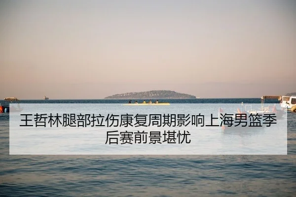 王哲林腿部拉伤康复周期影响上海男篮季后赛前景堪忧